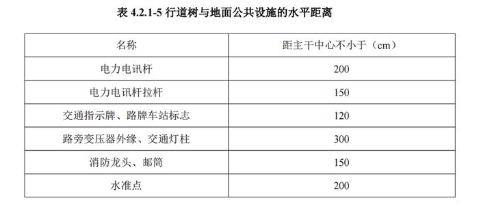 先有行道树还是先有城市家具？日益激化的“树牌矛盾”这样标本兼治