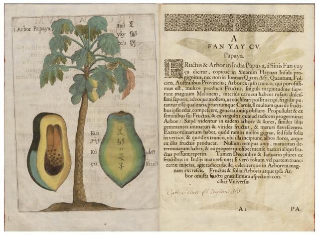 17世纪一位波兰博物学家眼中的中国