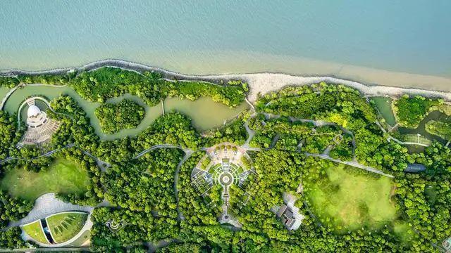 最璀璨的绿色之星，炮台湾湿地公园有怎样的前世今生？｜青绿长江口 宝山新图景