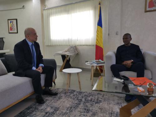 驻乍得大使王晰宁会见乍石油和能源部长勒贝马杰尔