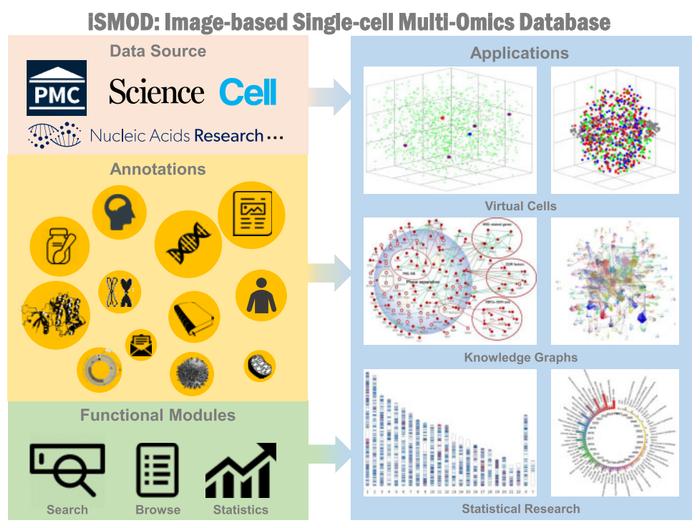 Nucleic Acids Res | 清华大学发布世界首个基于荧光图像的单细胞多组学数据库-iSMOD