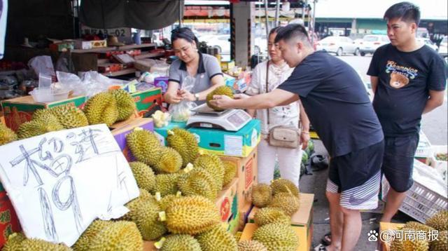首批国产榴莲正式上市，价格狂跌90%！泰国“天价”榴莲以后卖给谁