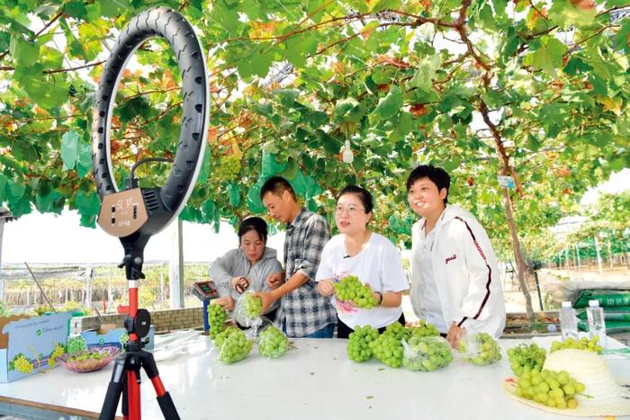 2022年8月9日，福建福安市赛岐镇象环村的葡萄种植园，返乡创业大学生林恩辉（右二）、陈莉瑾（右一）在推销刚采摘的葡萄。图/新华