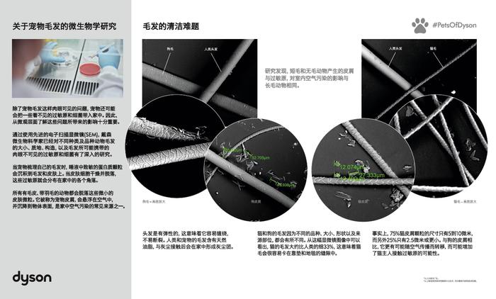 更享萌趣的搞“毛”方式