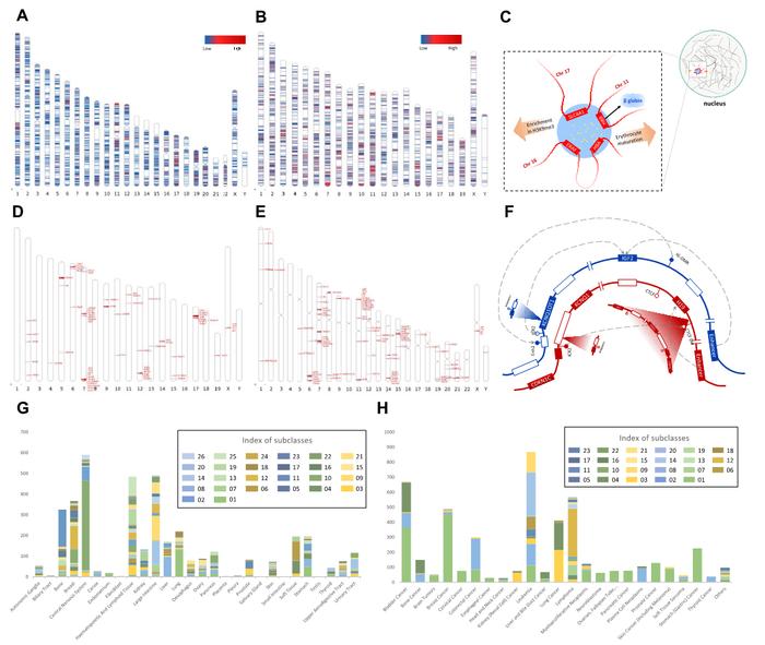 Nucleic Acids Res | 清华大学发布世界首个基于荧光图像的单细胞多组学数据库-iSMOD