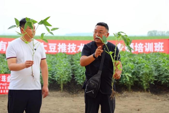 锦河农场有限公司“田间课堂”打通农技服务“最后一公里”