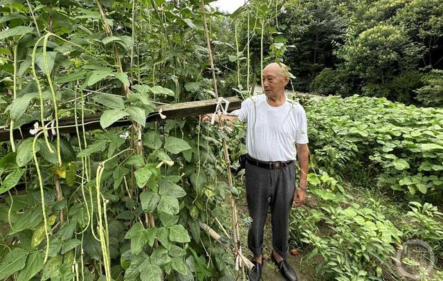 老兵顾继和：死也要守住上甘岭阵地