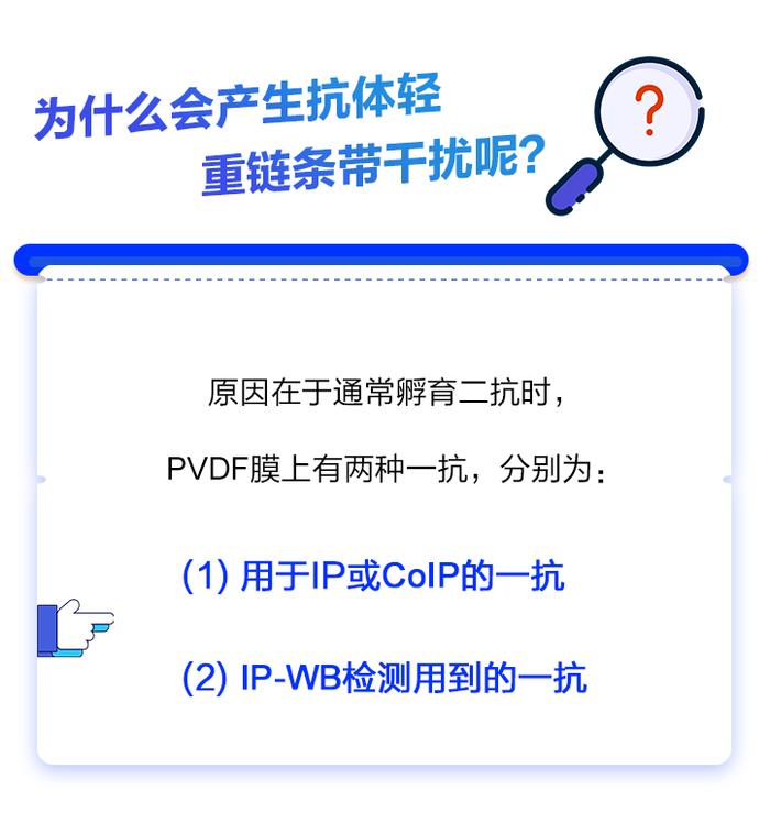 新品体验 | 摆脱IP轻重链干扰，准确捕获互作蛋白！新品体验手慢无