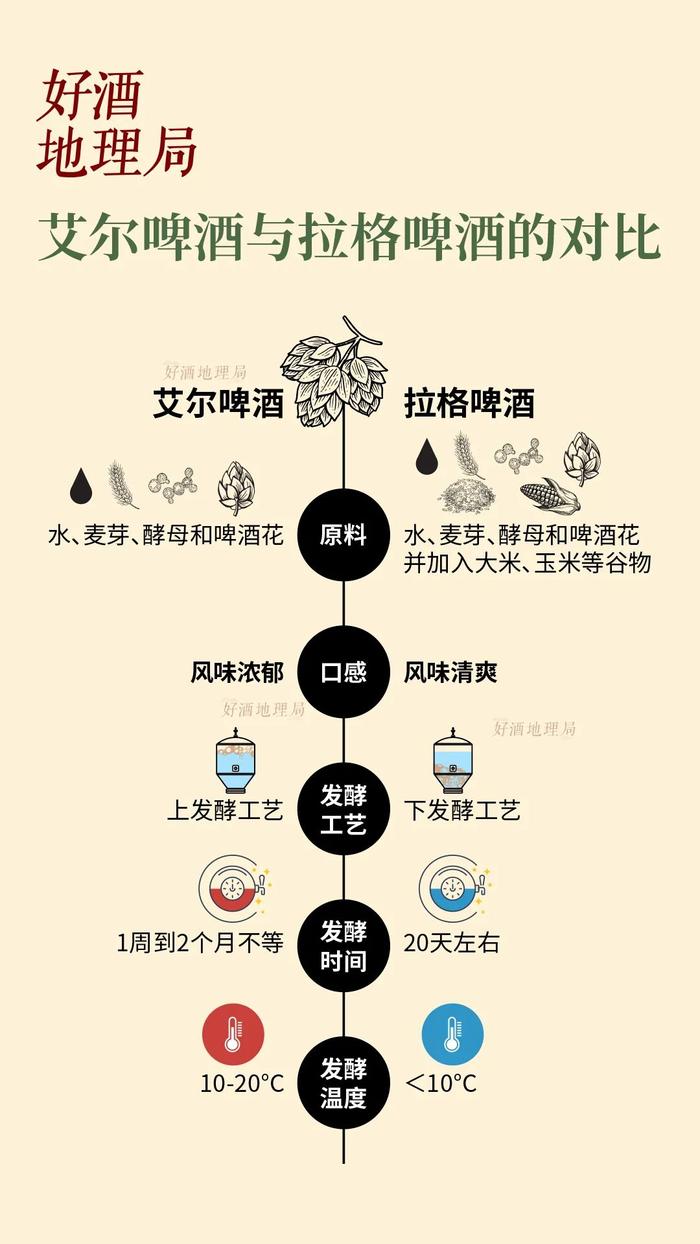 发现啤酒花，一场自找“苦”吃的历程