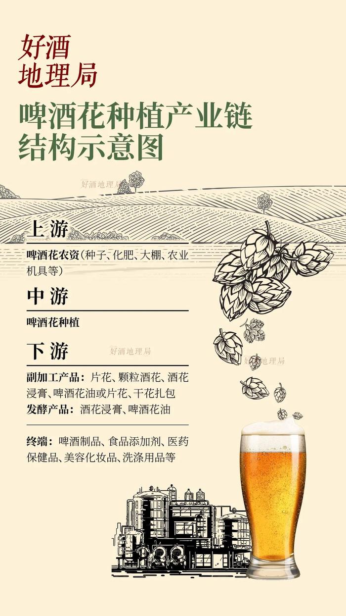 发现啤酒花，一场自找“苦”吃的历程