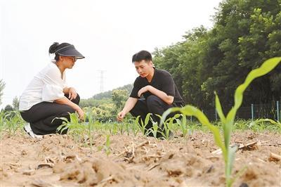 北京市将开展就业见习岗位募集 见习岗位不少于6000个 可申请见习补贴