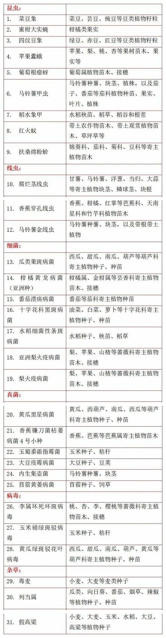 事关农业安全！海南植物检疫你应该知道的这些事！