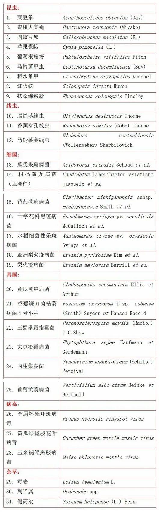 事关农业安全！海南植物检疫你应该知道的这些事！