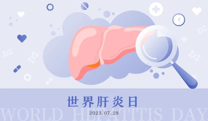 【世界肝炎日】——戊型肝炎知多少，预防“肝”货要记牢