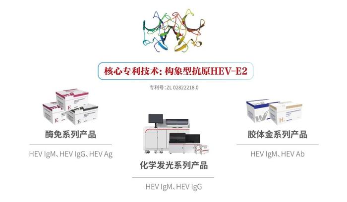 【世界肝炎日】——戊型肝炎知多少，预防“肝”货要记牢