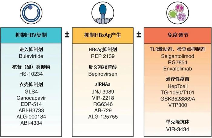 7月28日第十三个“世界肝炎日”——守护健康肝脏，为患者提供更好的治疗方案