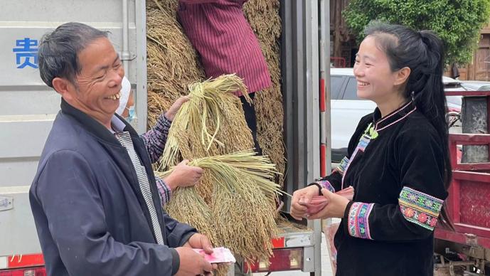 女团歌手回贵州当村姑，在抖音电商卖出4.9万单紫米