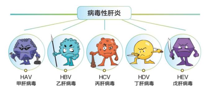 7月28日第十三个“世界肝炎日”——守护健康肝脏，为患者提供更好的治疗方案