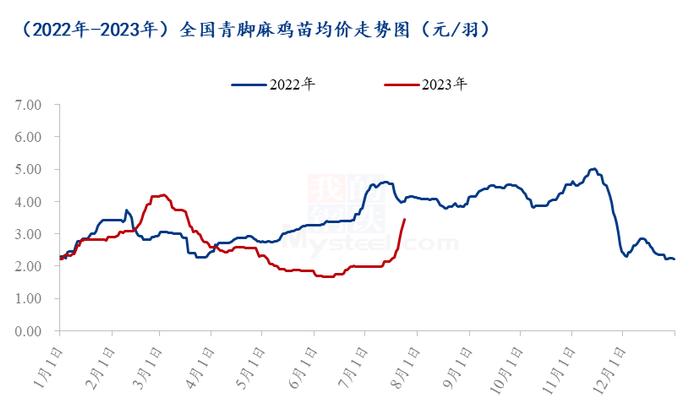 Mysteel解读：青脚麻鸡苗价格变动原因分析及后市展望