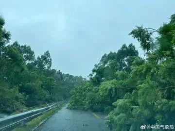 福建晋江目前处于台风眼，强风雨会再来