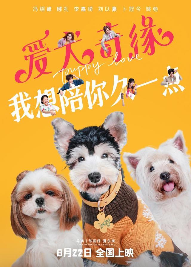 电影《爱犬奇缘》定档七夕，展现狗狗与人类之间的动人情感