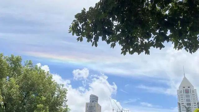 杜苏芮，红色预警！狂风暴雨已来！上海风雨最强时段是→