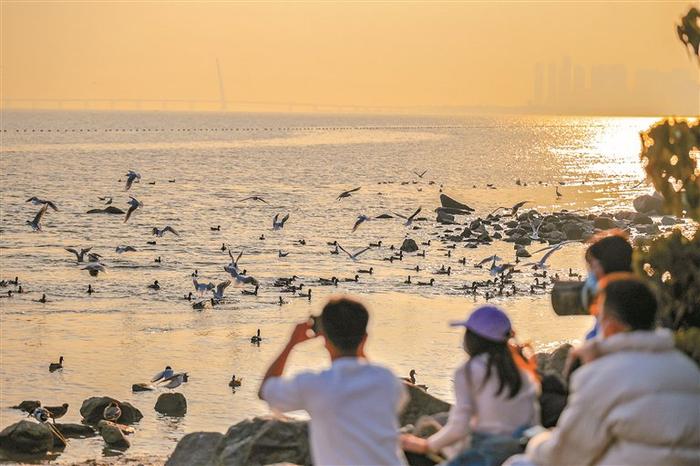 深晚记者实地打卡生态旅游地图 探寻城市漫步故事 一起到深圳的街头走一走