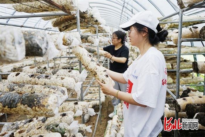 科技助农兴！河北师范大学学生赴阜平县开展暑期社会实践