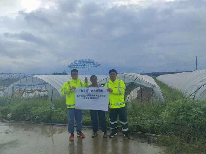 叮！这家保险公司首批台风赔款1小时到位