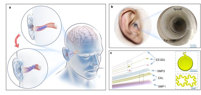 Nature Communications | 脑机接口新进展！清华大学柔性电子技术实验室在耳内柔性三维神经电子领域取得重要进展