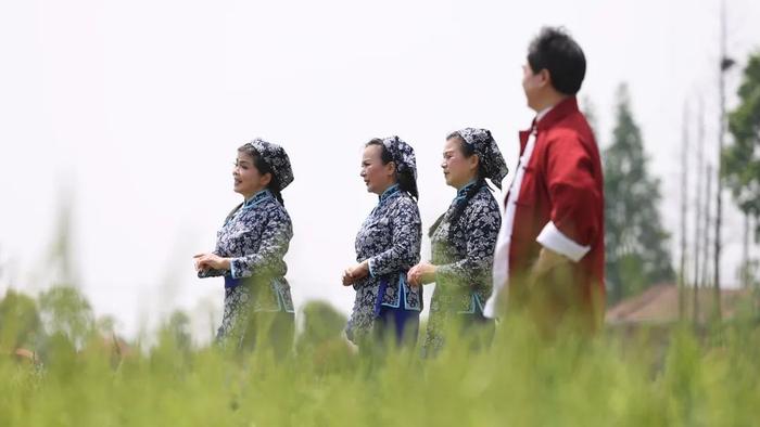 花为媒，旅兴农，新浜镇为松江乡村全域旅游发展“增色添香”