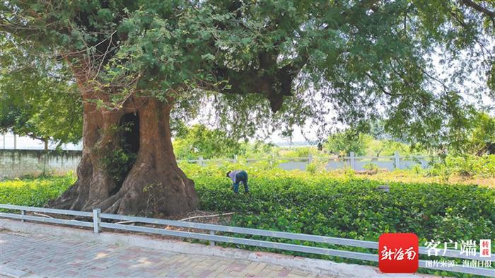 皇帝村、王炸村、天堂村...... 这些奇葩地名藏故事