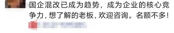 起底假央企国企挂靠生意：明码标价每年收费20万至数百万，中介称可建“防火墙”隔离风险