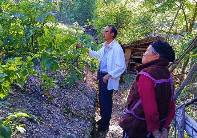 扎根深山15年 身患重疾的他写下千字申请书：“余生有限 我申请继续留村”