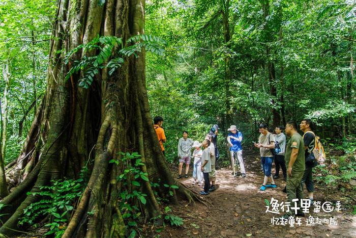 忆起童年，逸起向前！2023逸行千里·第五季全新轩逸幸福陪伴之旅圆满收官