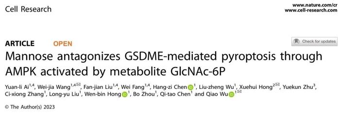 Cell Research | 吴乔课题组发现甘露糖抑制焦亡缓解化疗副作用的新机制