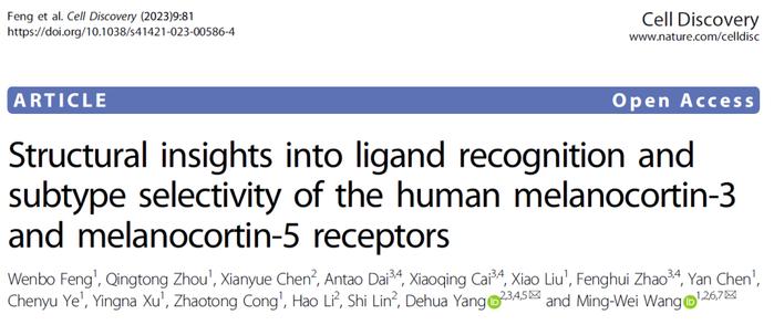 王明伟/杨德华研究团队成功解析人源黑素皮质素受体3和5复合物的三维结构
