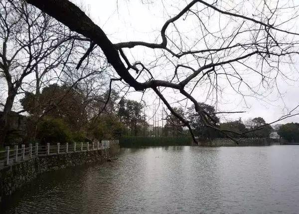 雨҈雨҈雨҈ ...图文详解国内外先进排水系统