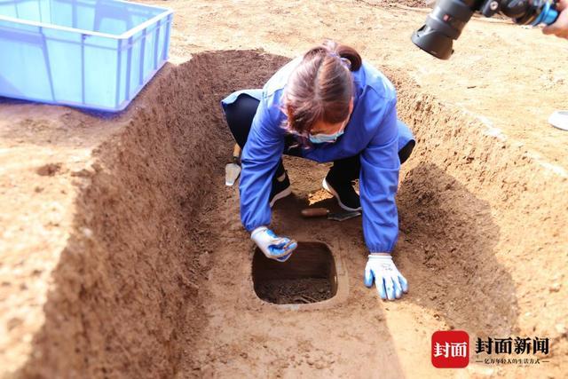 封面深镜｜汉文帝皇家苑囿什么样？霸陵考古揭秘：有大熊猫、亚洲貘，还配有“饲养员”