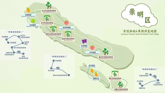 好吃又好玩，宝山这条“林果游览路线”等你来打卡