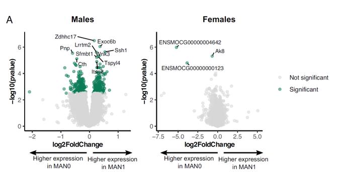 爹带的男娃更聪明？PNAS：最新研究发现父亲更多的陪伴会对男孩的大脑神经发育有独特的影响！