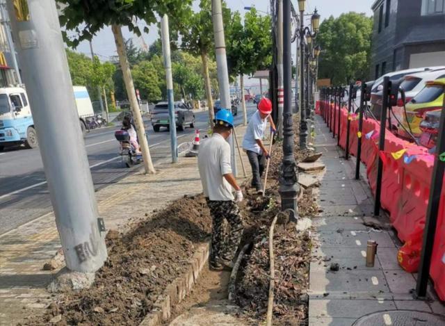 洞泾这个“美丽街区”建设项目开工啦，效果图抢先看！