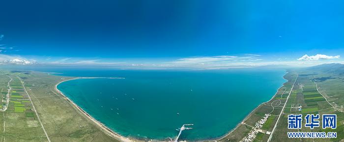 青海湖之夏