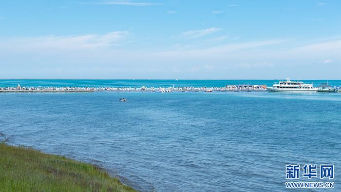 青海湖之夏