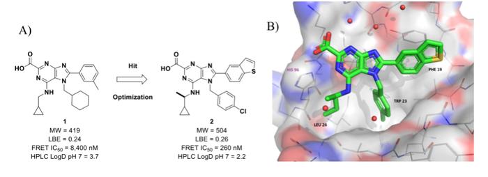 深度分析：解密默克的HDM2−p53 PPI抑制剂MK4688的开发经过