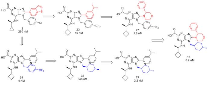 深度分析：解密默克的HDM2−p53 PPI抑制剂MK4688的开发经过