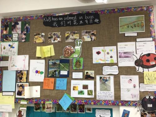 探秘上海耀中国际学校幼教部，生成课程与STEAM教育如何结合