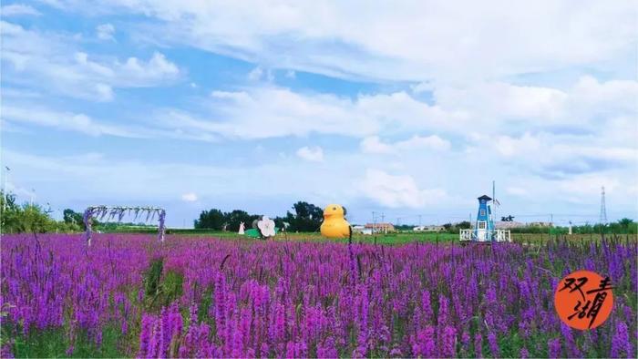 走进长春！100个网红打卡地之公主岭双青湖旅游度假风景区