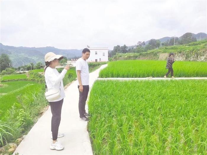 浦选昌：用更多自己的种子守护国家粮食安全