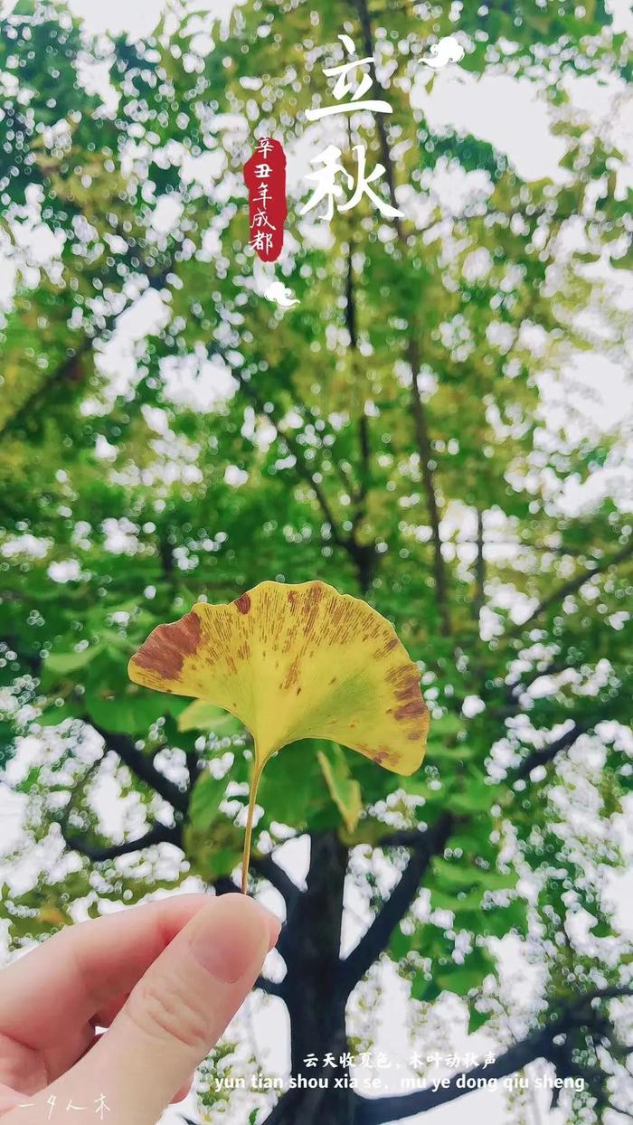 【廊廊报天气】明日立秋 本周中后期雷雨时而光顾